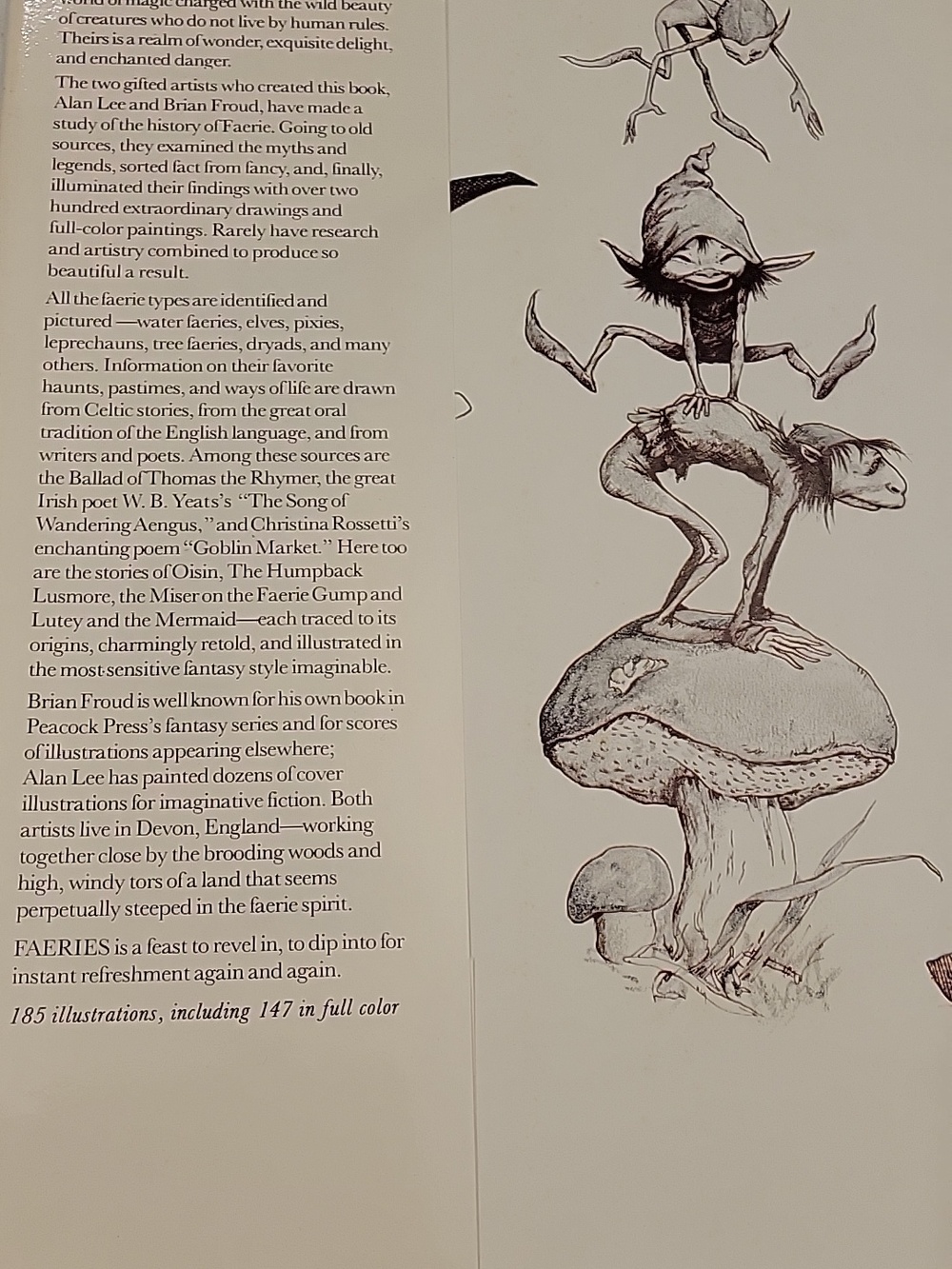 Faeries Illustrated Book - Brian Froud and Alan Lee - Picture 2 of 6
